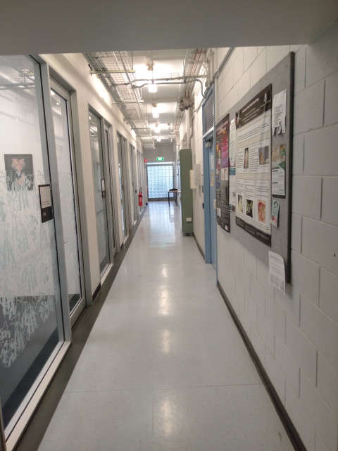 Hallway containing offices