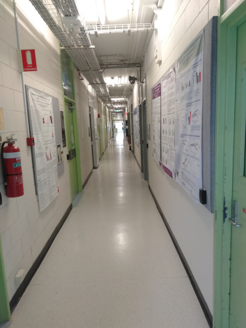 Hallway containing offices