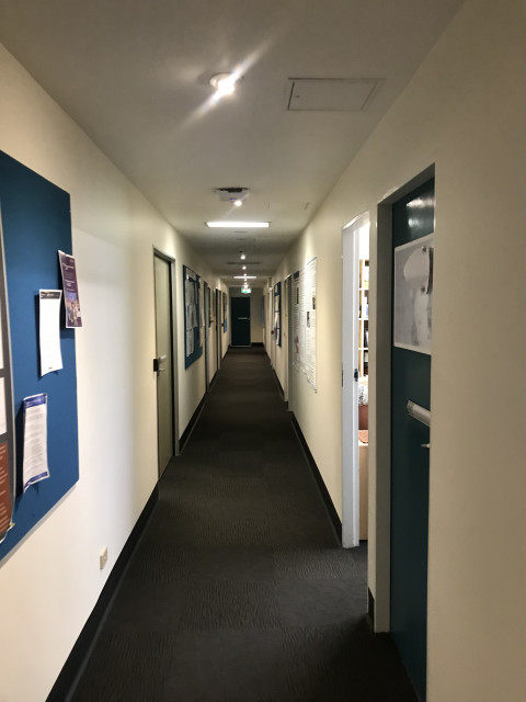 Hallway of offices