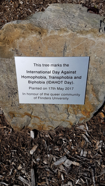 IDAHOT plaque