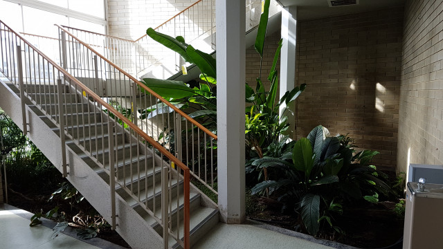 Indoor staircase garden.