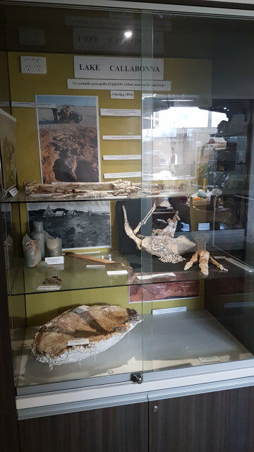 Lake Callabonna display.