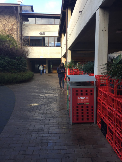 Level 2 entrance next to the lunchbox cafe.