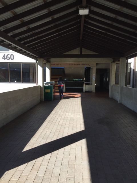 Level 3 entrance across the bridge from bush court