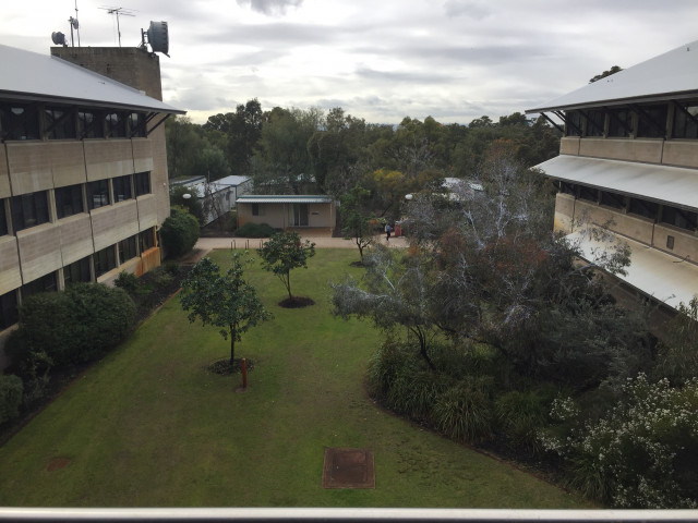 Level 3 view