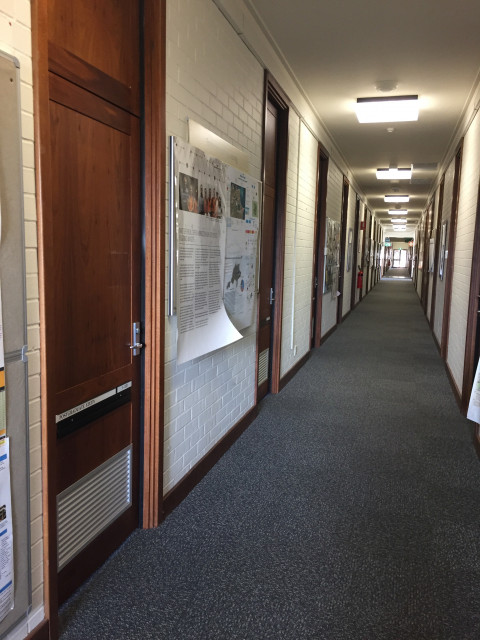 Looking back up the hallway