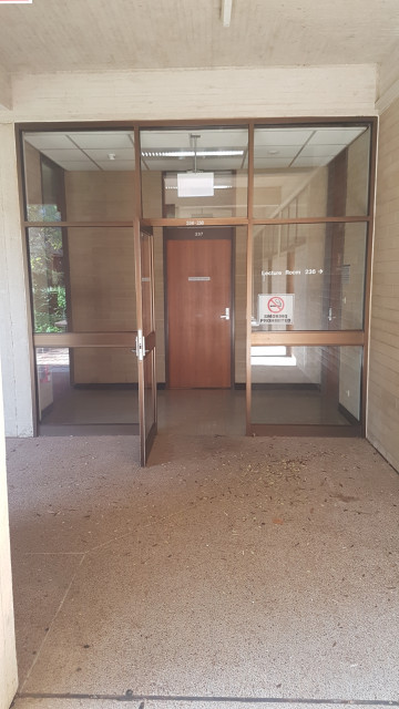 Main glass entrance (door on left is 238)