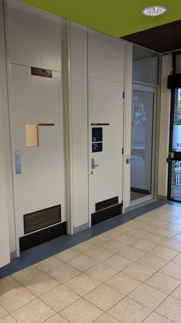 Male and Disabled