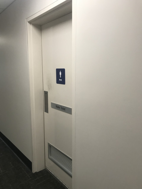 Male toilet entry
