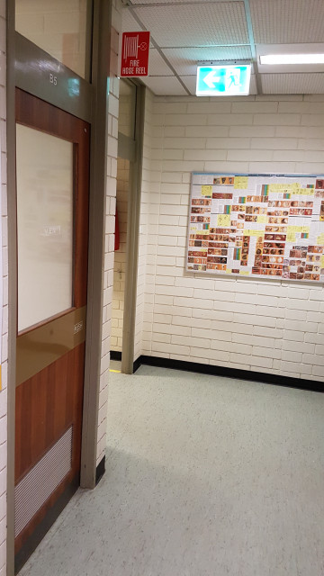 Male toilets in the basement from the rear entrance of B12 lecture theatre.