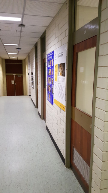Male toilets in the basement near the rear entrance of B12 lecture theatre.