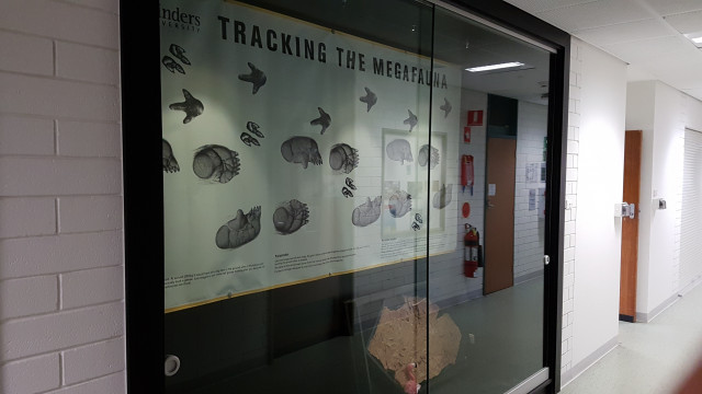 Megafauna display