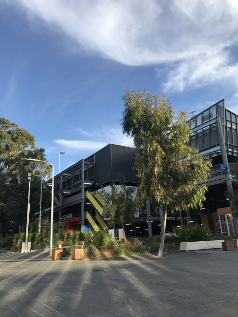 Near corner of Rainforest Walk and Alliance Lane