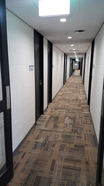 Offices 228-246 from the northeast corner (down north hallway)