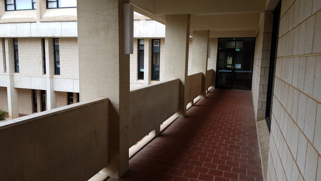 Offices 263-274 from the east balcony