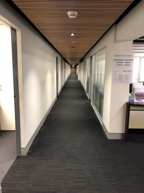 Offices corridor