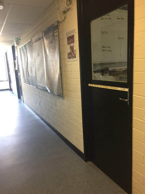 On the right side of the hallway