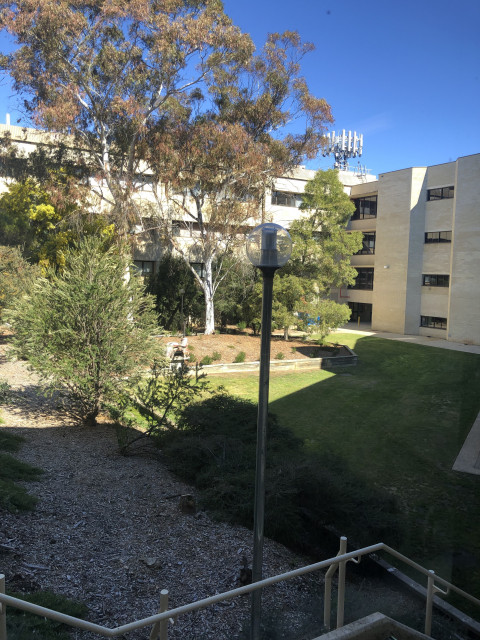 Outdoor area