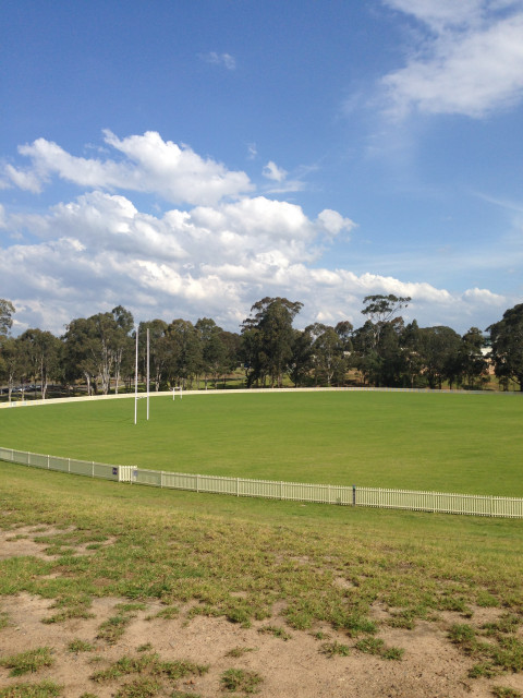 Oval
