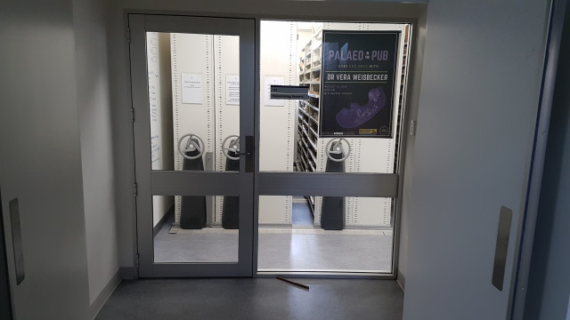 Palaeontology research room in the south corridor.