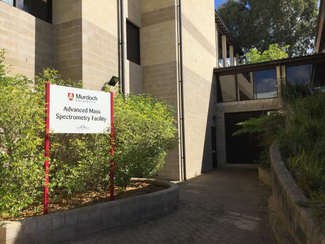 Path leading to level 1 entrance, south east corner