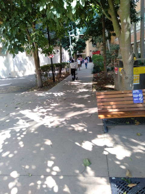 Pathway to back entrance from Cooper Rd
