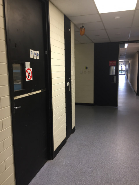 Second entrance located further down the hall