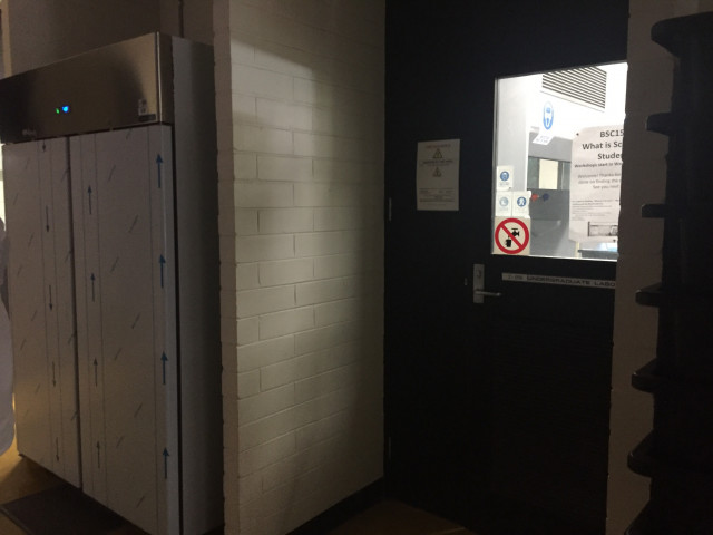 Second entrance located through the glass doors on the right