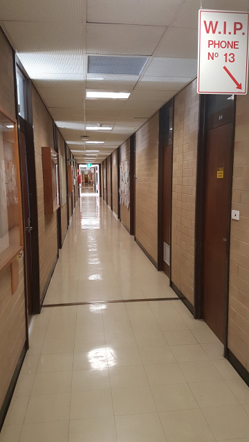 Sociology staff offices 301-316 (from north east corner)