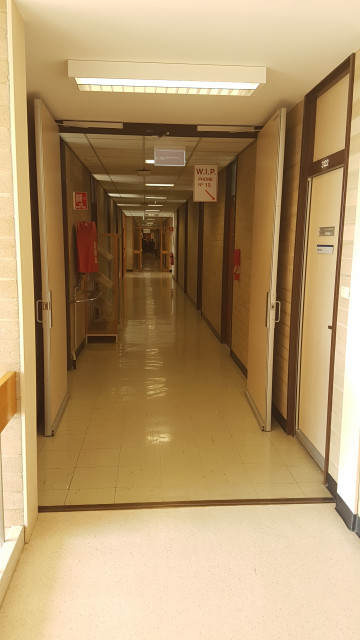 Staff offices 3113-3122 from the north staircase