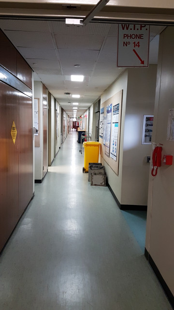 Staff offices and laboratories 306-330 from the southwest staircase.