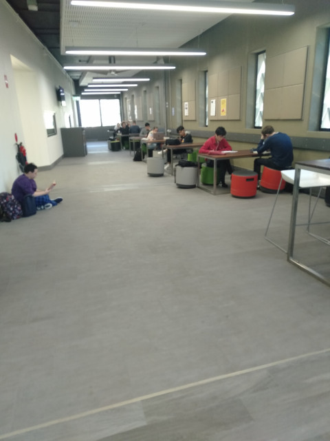 Study area