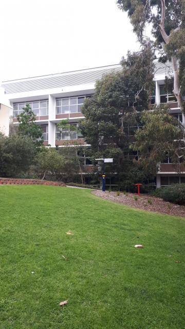 Sturt South building from the courtyard