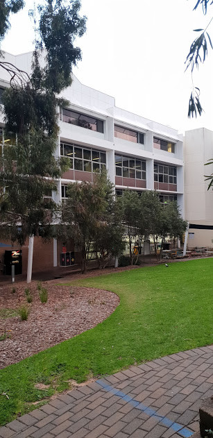Sturt West from the courtyard