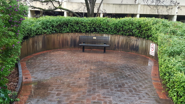 Sue parkin memorial bench