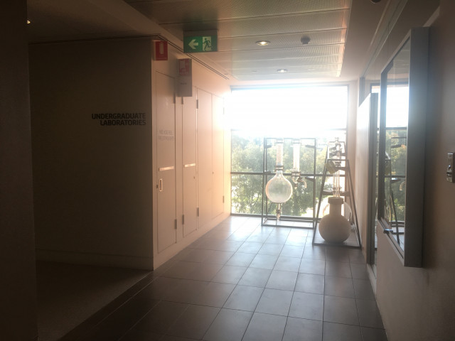 The corridor