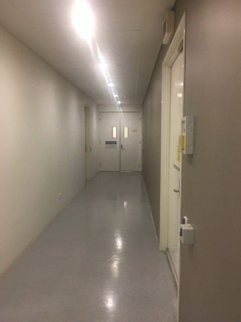 The corridor