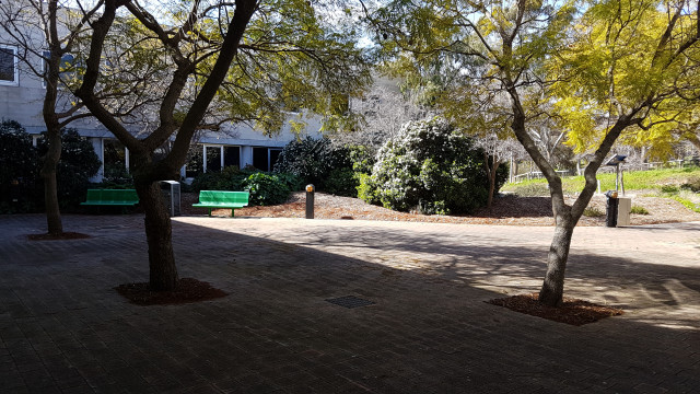 The courtyard on a good day.