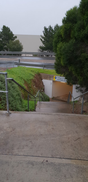 This pathway leads from carpark 1 & the health sciences building to FMC