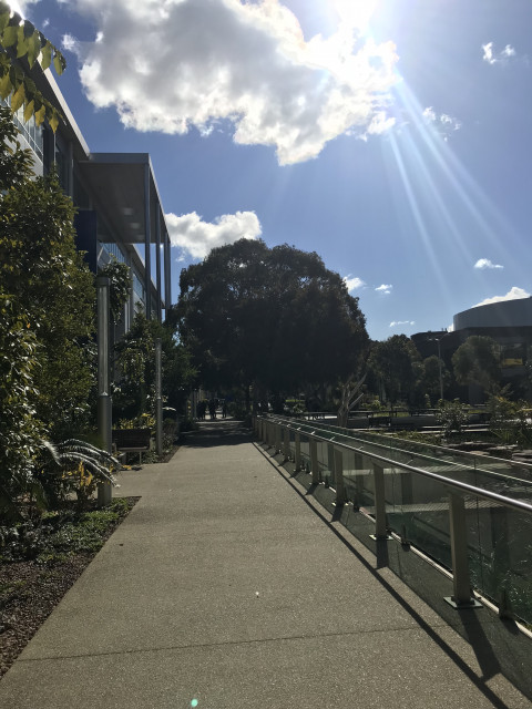 To left before main entrance (facing north)