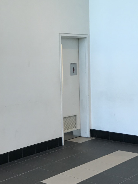 Toilet entry