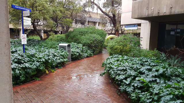 Upper courtyard from lower courtyard stairs