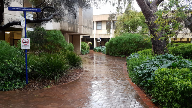 Upper courtyard from social sciences south entrance