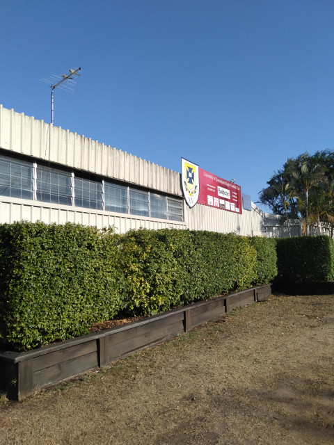 UQ rugby club