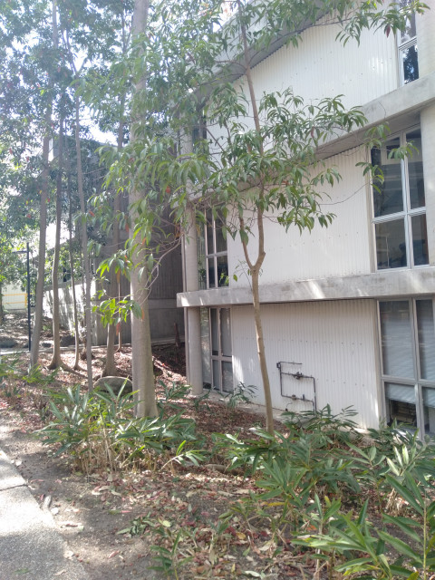 View from Cooper Rd, entrance to level 1