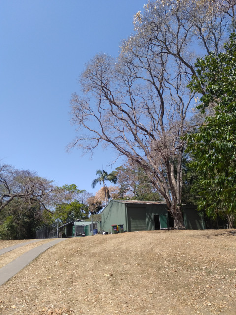 View from Sir William MacGregor drive