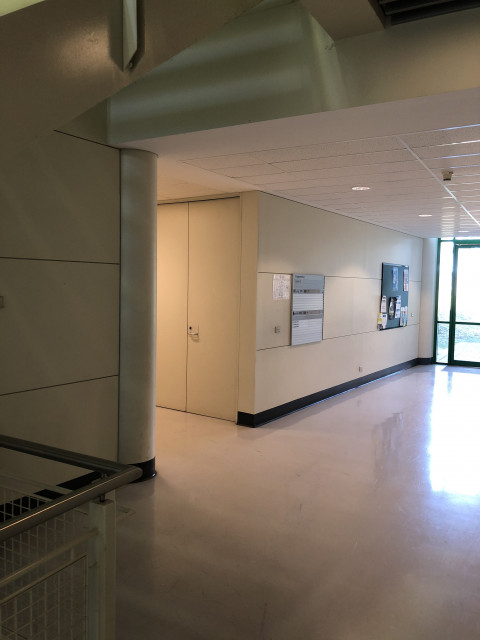 View from main stairs