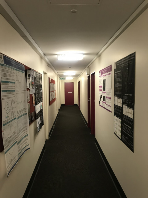View of hallway