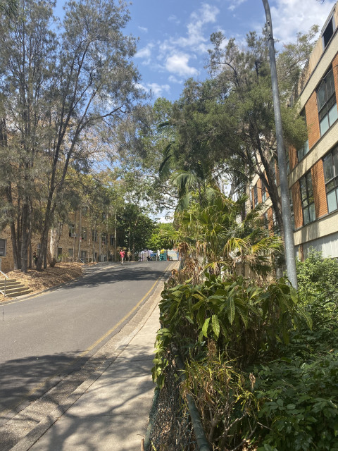 View of Keyhole Road. Following this road leads to 82D and can also provide access to other Seddon Buildings