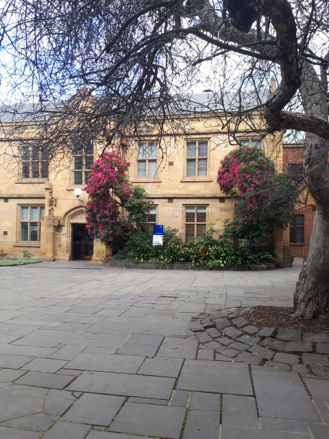 View of Old Arts from Cussonia Court